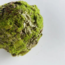 Load image into Gallery viewer, Mossy Lichen Orb