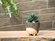 Load image into Gallery viewer, Cat on Legs Planter